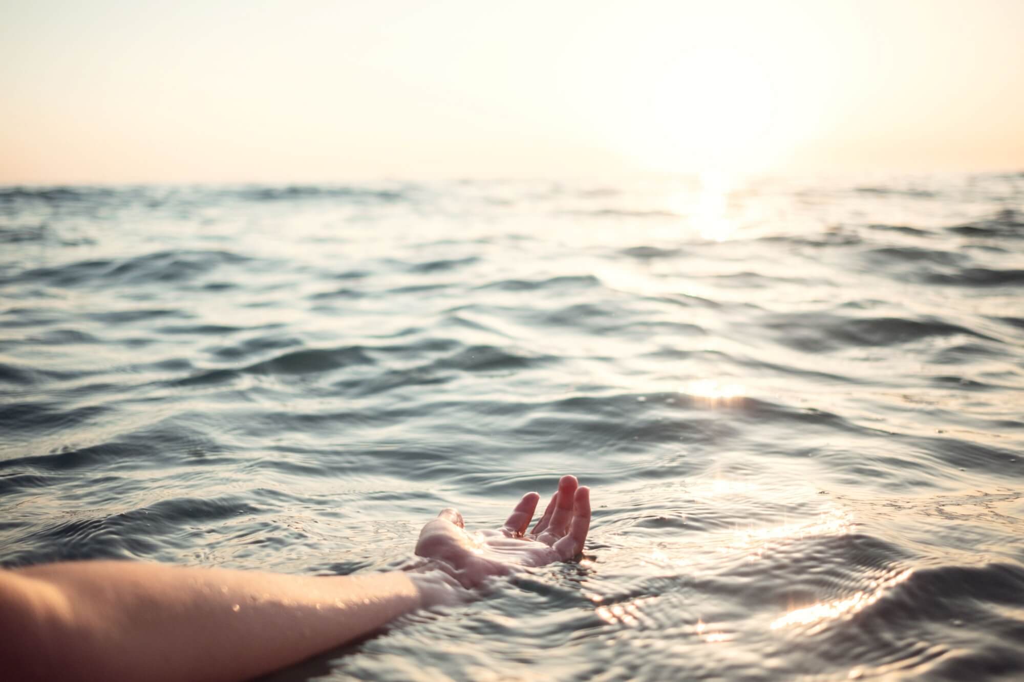 Focus Area • Ocean Aesthetics